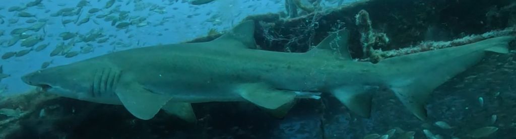 9b35c979-17eb-4b3c-97b5-4805ce5efa6b