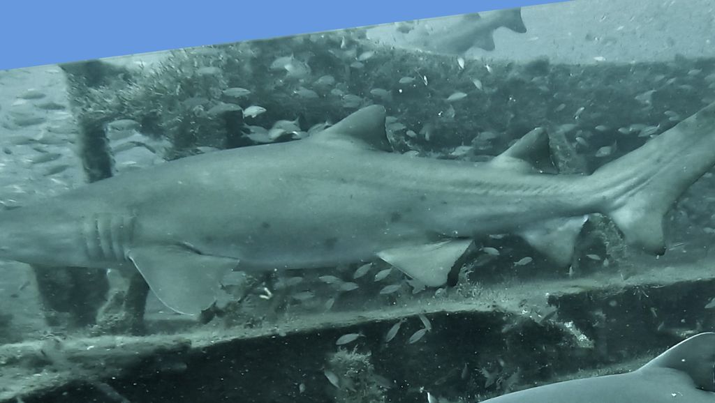 5335e9b8-a74c-443c-b0b3-86976858fb7a