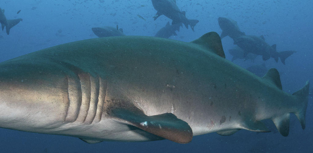 6c3a673f-a425-48c2-b3ce-0ceda544c22c