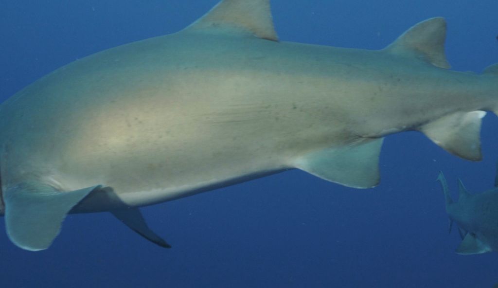 d1c9ccb1-1949-48f7-9576-a646f821c7a6