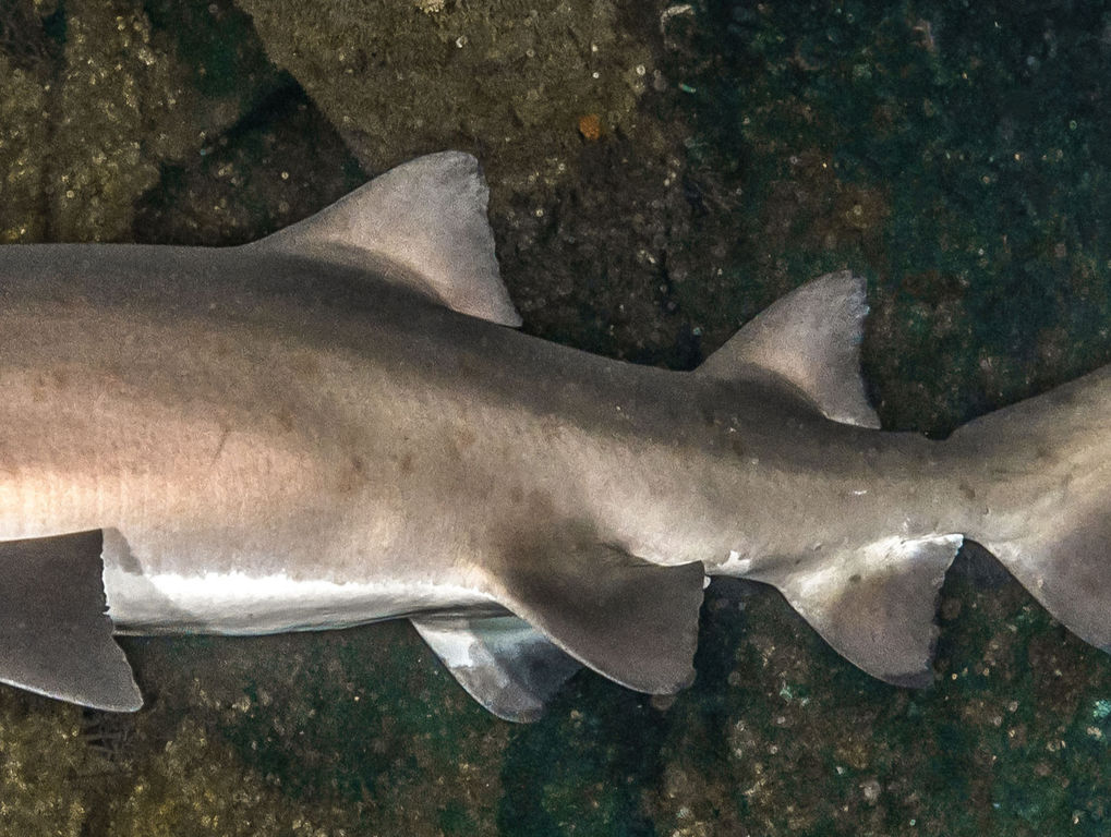 85646f69-538e-45ef-a8fb-d0aaca21b494