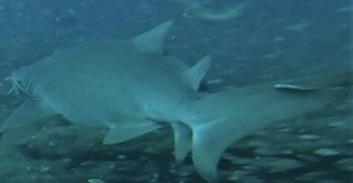 f628d090-ecd1-400f-8d11-9d20f067fd26