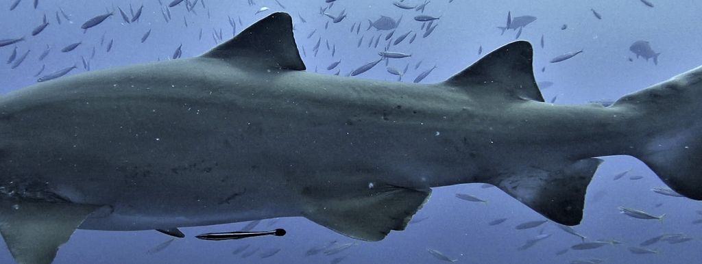 cb050d89-bc78-4d71-a8d5-41237800bc1a