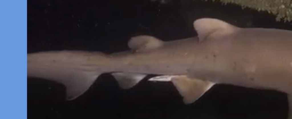 e2da4a81-67b5-4588-a68c-6e60ea22cb99