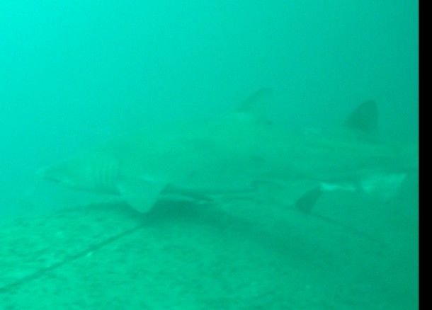 d3269744-fa1d-46ba-ac55-7200b5342e83