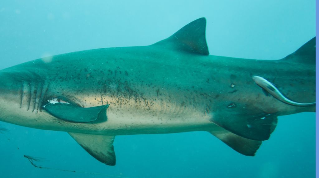 16437c86-3a04-48b1-a0cd-764e20d3c4be