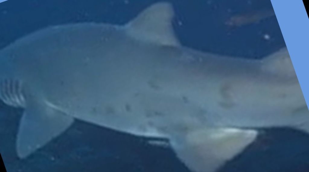 fb6068ba-60d8-400d-b137-35c9e36217b2