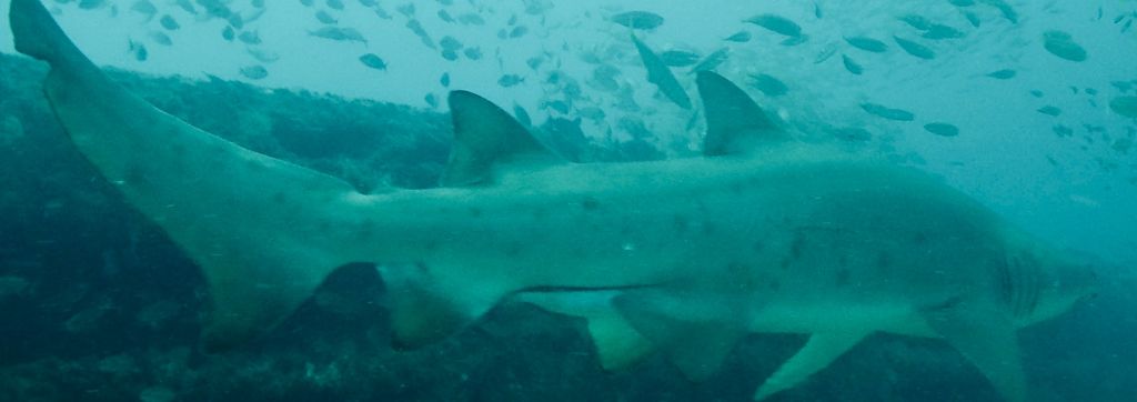 b71219ab-ea60-49ef-8e2b-f30b9a7b132b