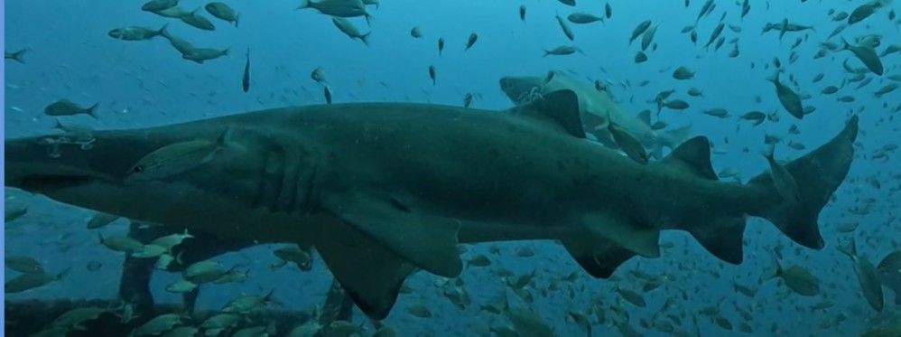 af1f1b91-d640-4dac-87e7-ce6a721d1db0