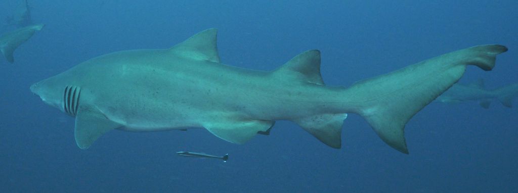 6d5911f2-da19-4b55-ac04-da674e17af9c