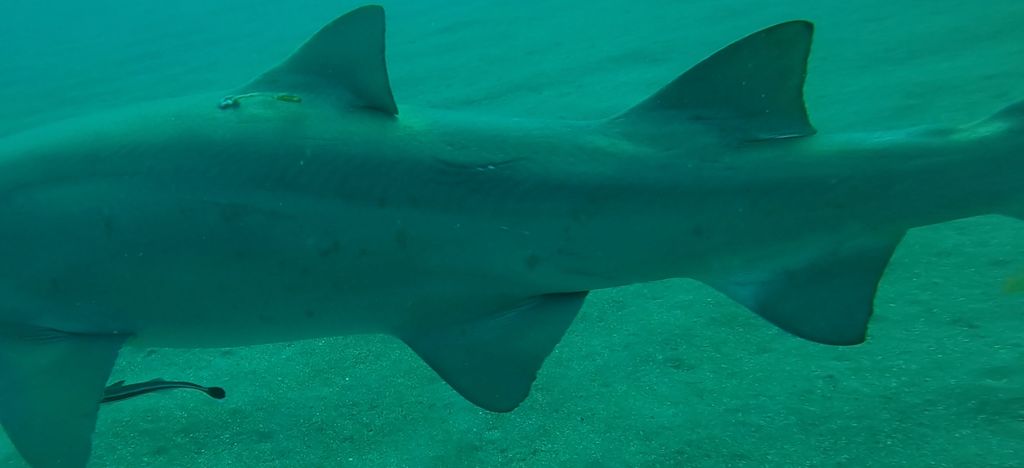 a845449c-aed0-4ada-8437-df9a42203f7b