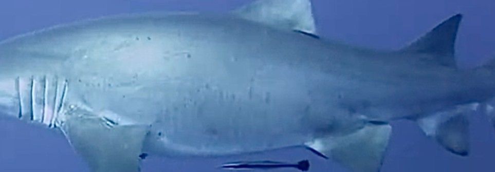 b7a58e0b-155c-4142-9684-cbe78db95546