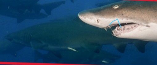 de2b30c2-b167-4304-9d31-25075f72beba