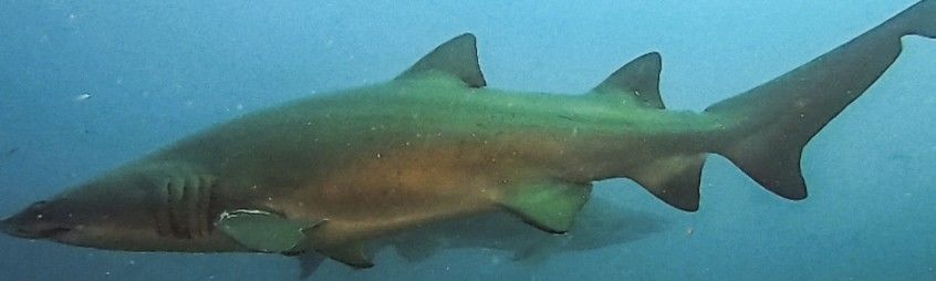 0571201d-9c73-40a4-9719-82208cbf6954