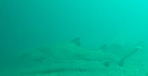 c0a57e81-1e8b-47db-b6e2-6eadfc1ed308