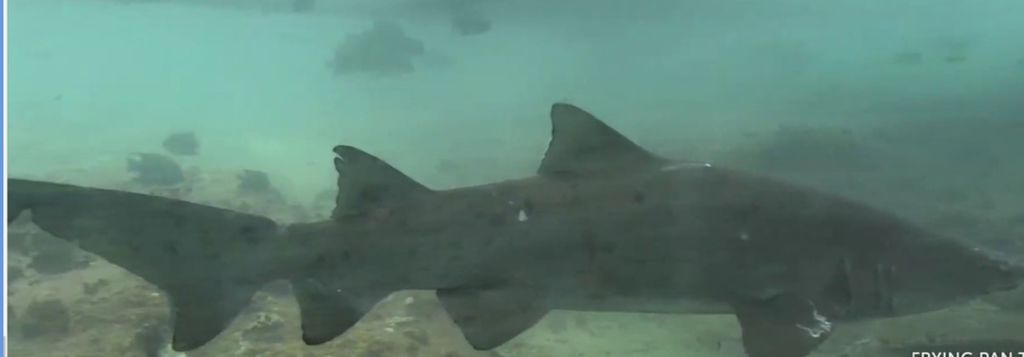 ac0eed1d-5bff-4718-9eeb-65f68cafa08a