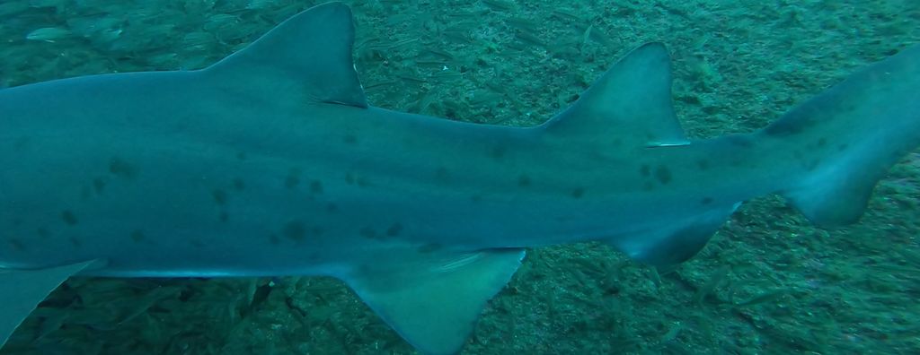 a96e88d7-8752-4c42-8f01-11e371918eeb