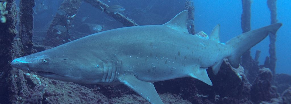 c4952774-59e1-4fcc-b1c2-e82b6ccef8ff