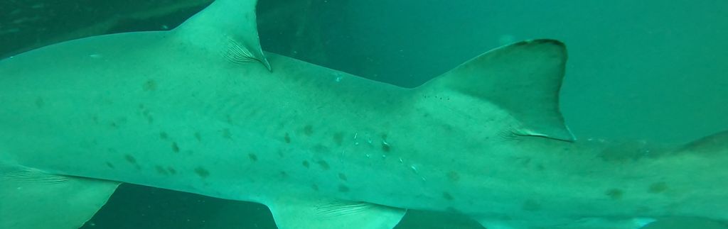 9e5226ff-6352-409a-8442-c622fd99b310