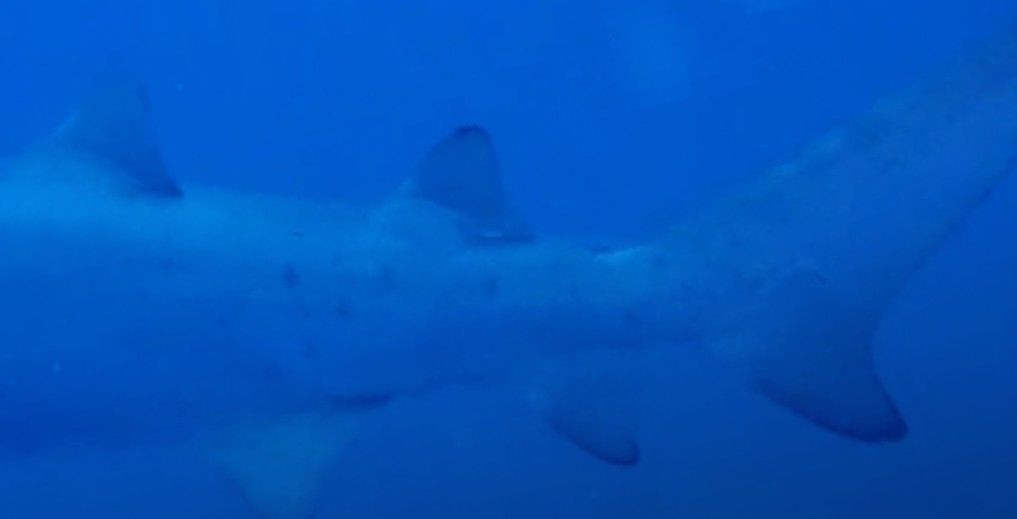 106f13af-8488-4d5e-b803-1b8b295a12f7