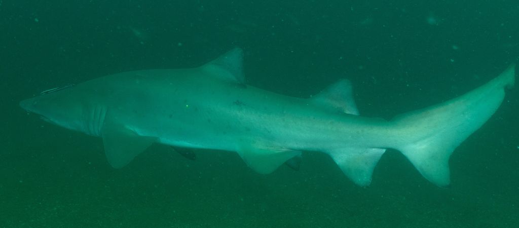 0bb5673f-0c7c-4512-b45e-3c1939d9d94d