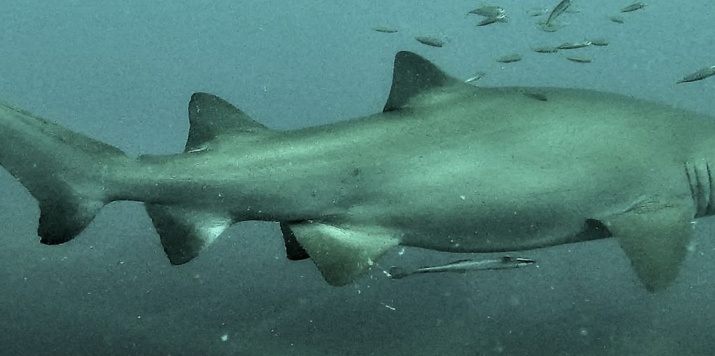 8b542327-ab94-4f3c-b0a2-ebcca2978842