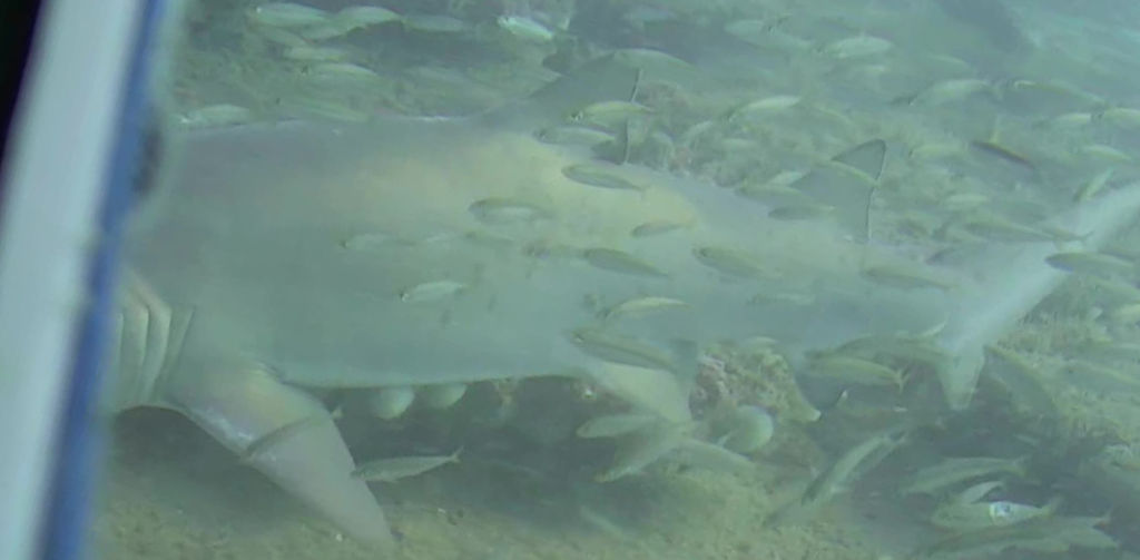 27abaccf-f958-42f2-816d-213a9905cf37