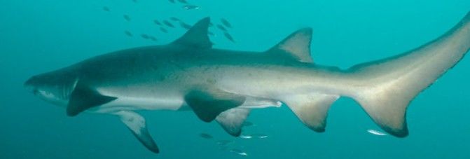 f11efcdd-f647-4105-8397-e7571b6526db