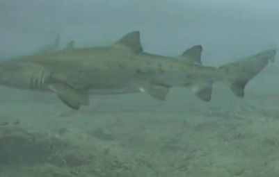 12aa0fcf-9c6a-41b5-88ed-653b7456f087