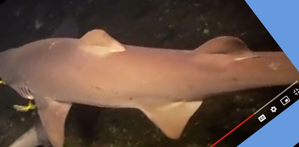 15950479-d3f7-4020-b5ae-d5e56bd1cbaa