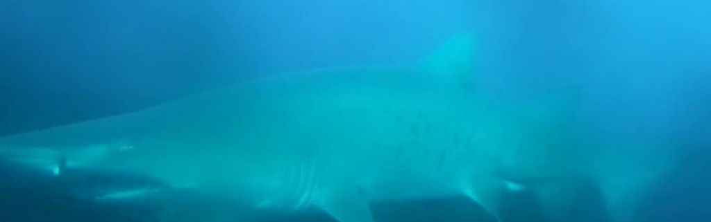 7fa7d091-5ecd-4b7d-920d-f2a7d818cf88