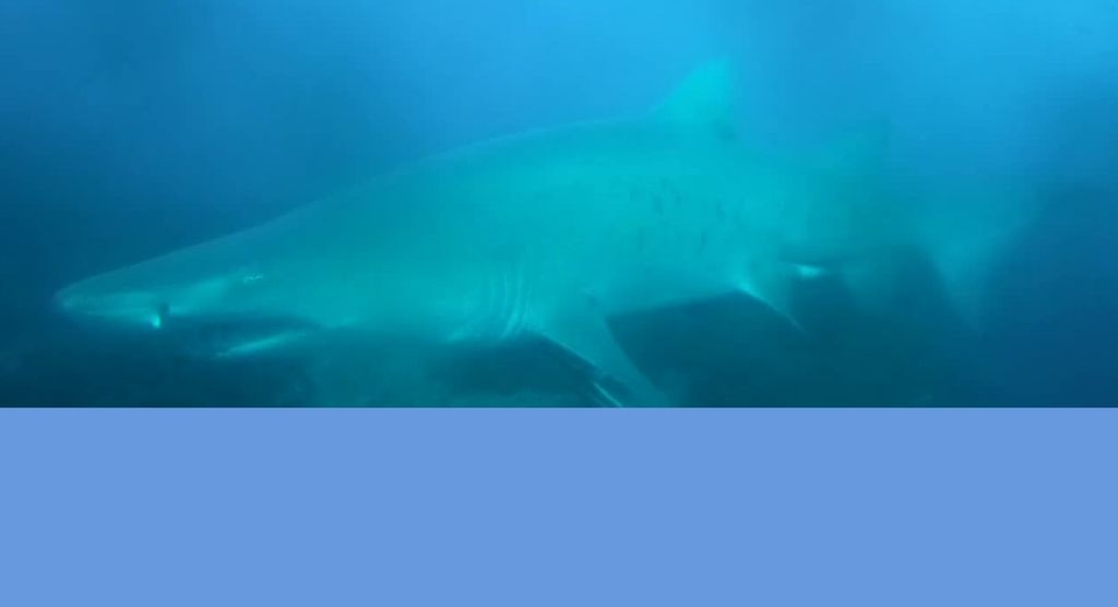 7fa7d091-5ecd-4b7d-920d-f2a7d818cf88