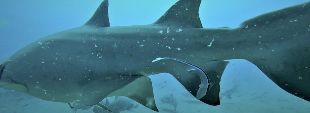 b2e07bb1-4055-486d-b208-fb13d0a2bb60