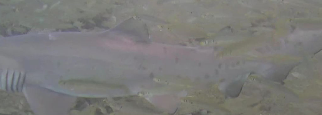 6fd1f861-5566-4aba-90be-7f305487f136