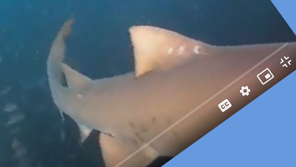 793a03ba-126e-49d4-a7f1-af215349ab48