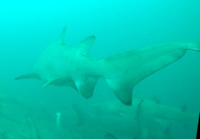 0ba20104-114a-46dc-a3ef-4684c33b3111