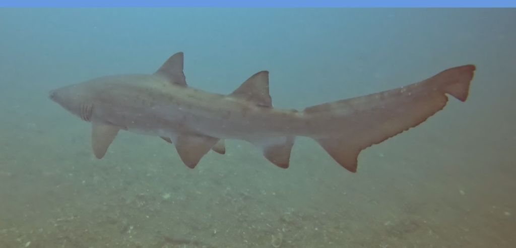 2c5b119a-4492-496b-a31e-2d3218e3e615