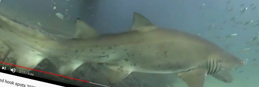 f72a0f88-c18d-4d86-a9b5-49986ac41467