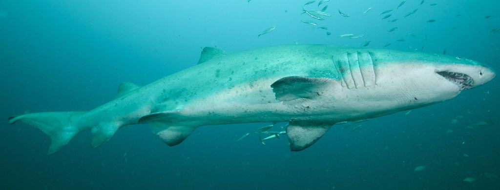 7b9df37a-5699-4f50-a820-4cb2b81eed87