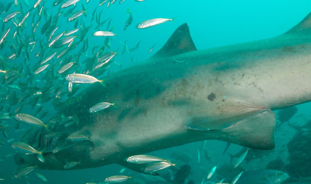 7b9df37a-5699-4f50-a820-4cb2b81eed87