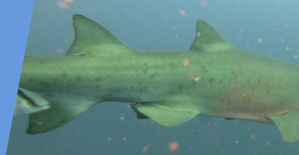 6472e3c1-18c0-43fa-82cd-9349d03474d0