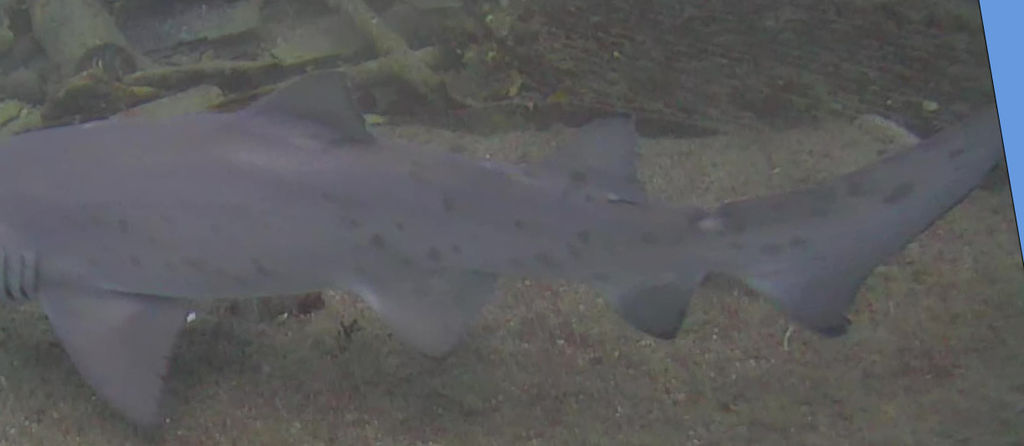 b469349e-d851-42dc-ab48-e4b78e32c823