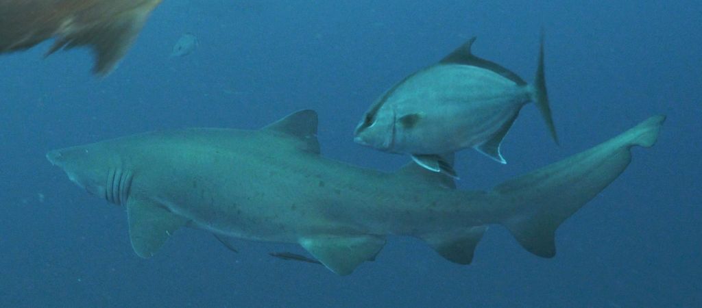 9485fa3f-798b-4994-9a20-c70b7a5c96e2