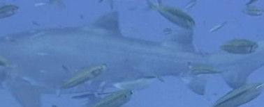 f5849df9-45b5-4fa7-9933-e967442ea170