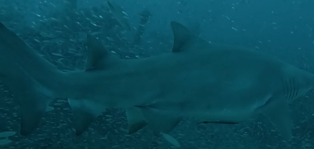 ba3dca2d-7ef7-4039-92d0-866f2c6265c7