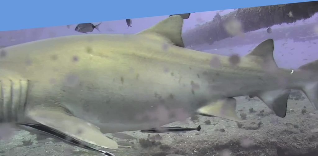 3800478e-0c94-4424-98d4-8a9c2e3cb859