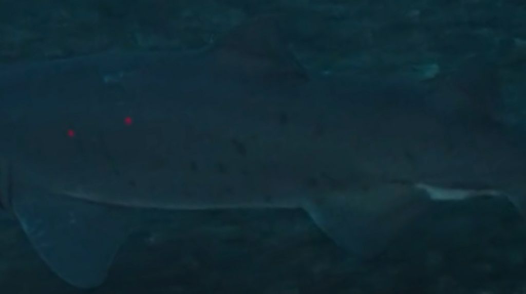 72341bfe-9b9d-469b-aeb8-4e6c9c263cca