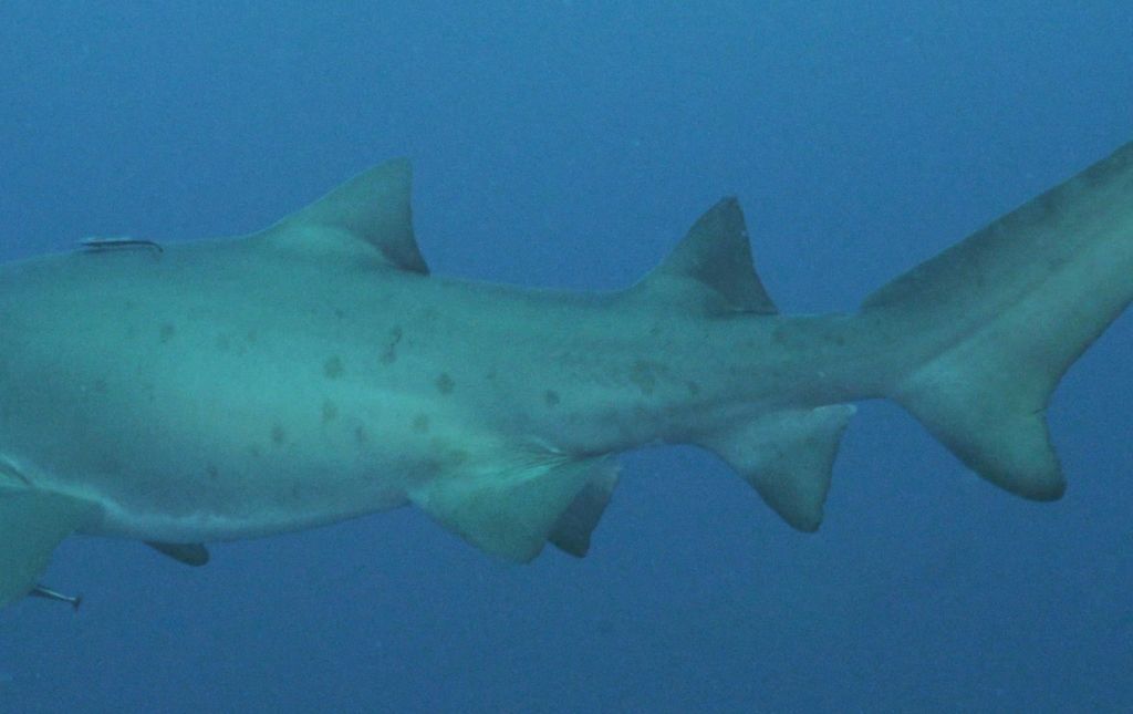 b147e80f-555a-48c0-a9d0-6ab2325fe0f8