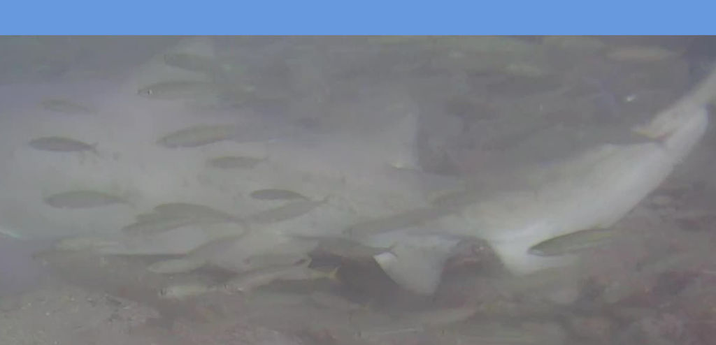 7b834c89-a05c-47f0-adad-598a2a809086