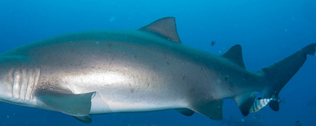 f41edeb4-cb49-4bfe-a8ff-3bf9e19bcc35